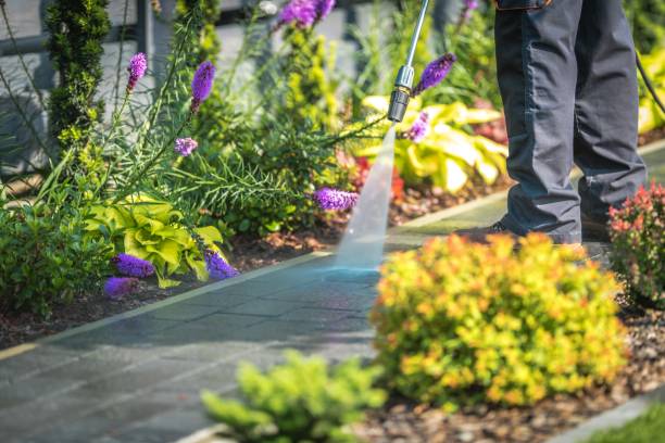 Trusted San Carlos, CA  Pressure Washing Services Experts