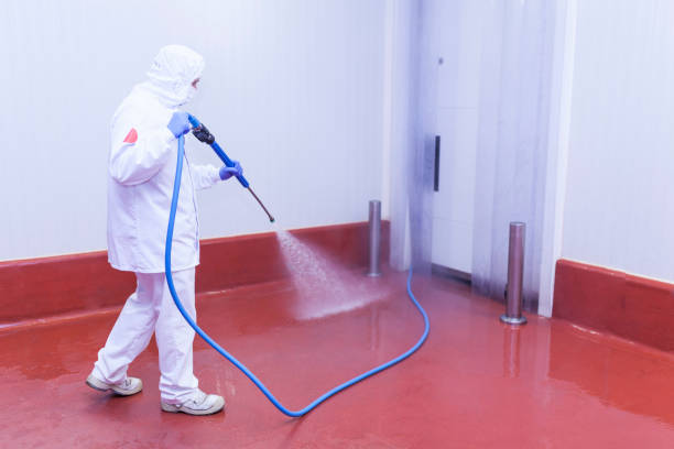 Best Warehouse Cleaning  in San Rlos, CA